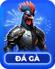 Icon đá gà
